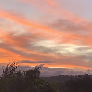 Meet your Posher, Dania